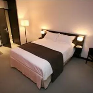 Hotel Perrache